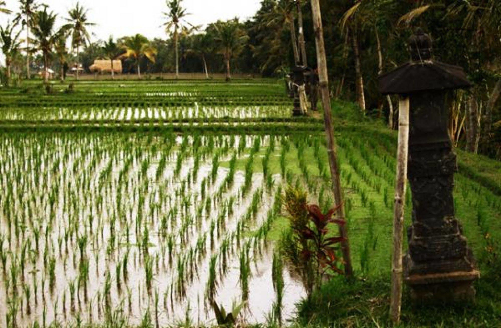 Puri Lotus Hotel Ubud Exterior foto