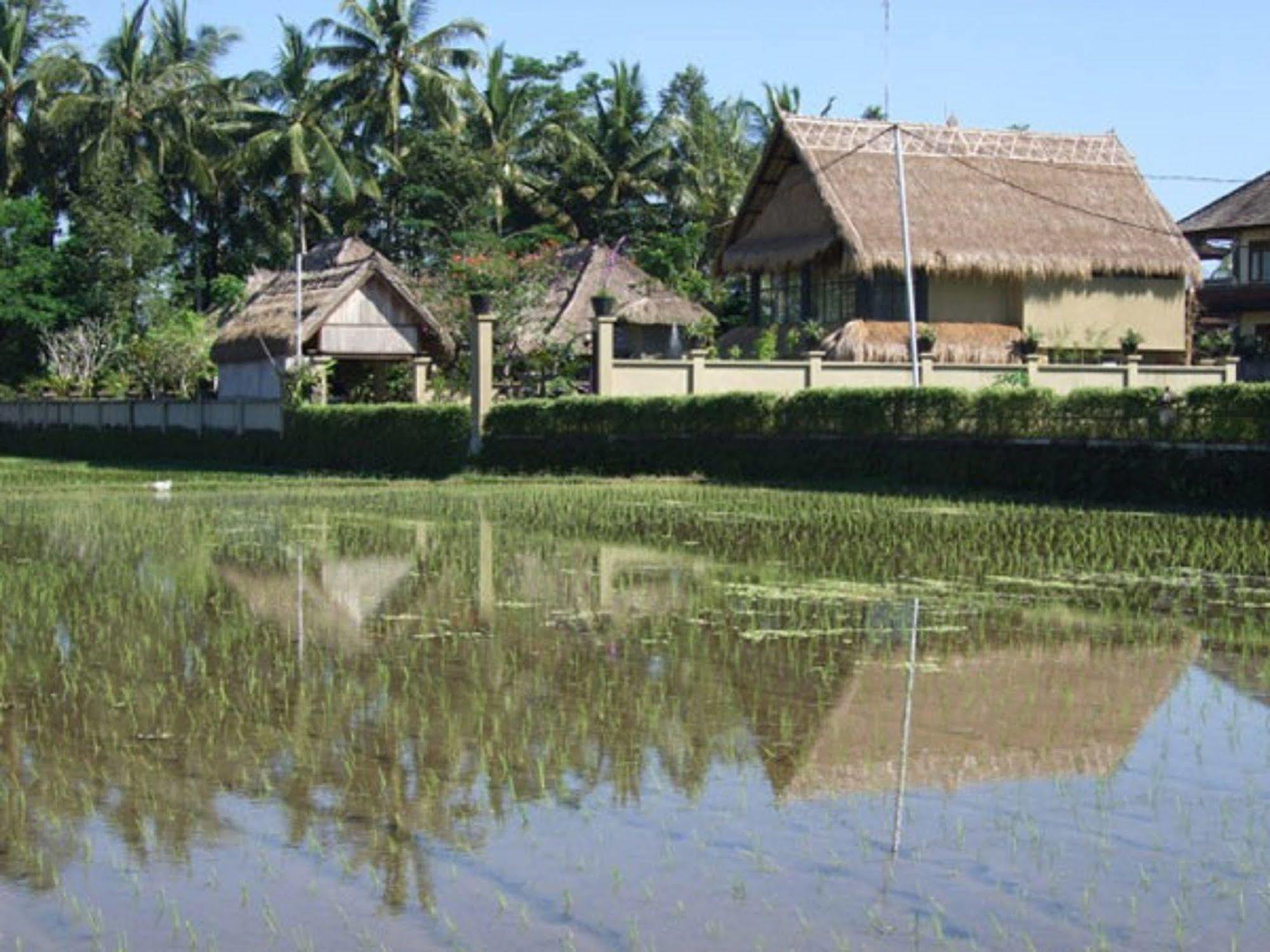 Puri Lotus Hotel Ubud Exterior foto